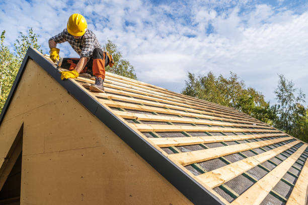 Best Roof Gutter Cleaning  in Evansville, WY